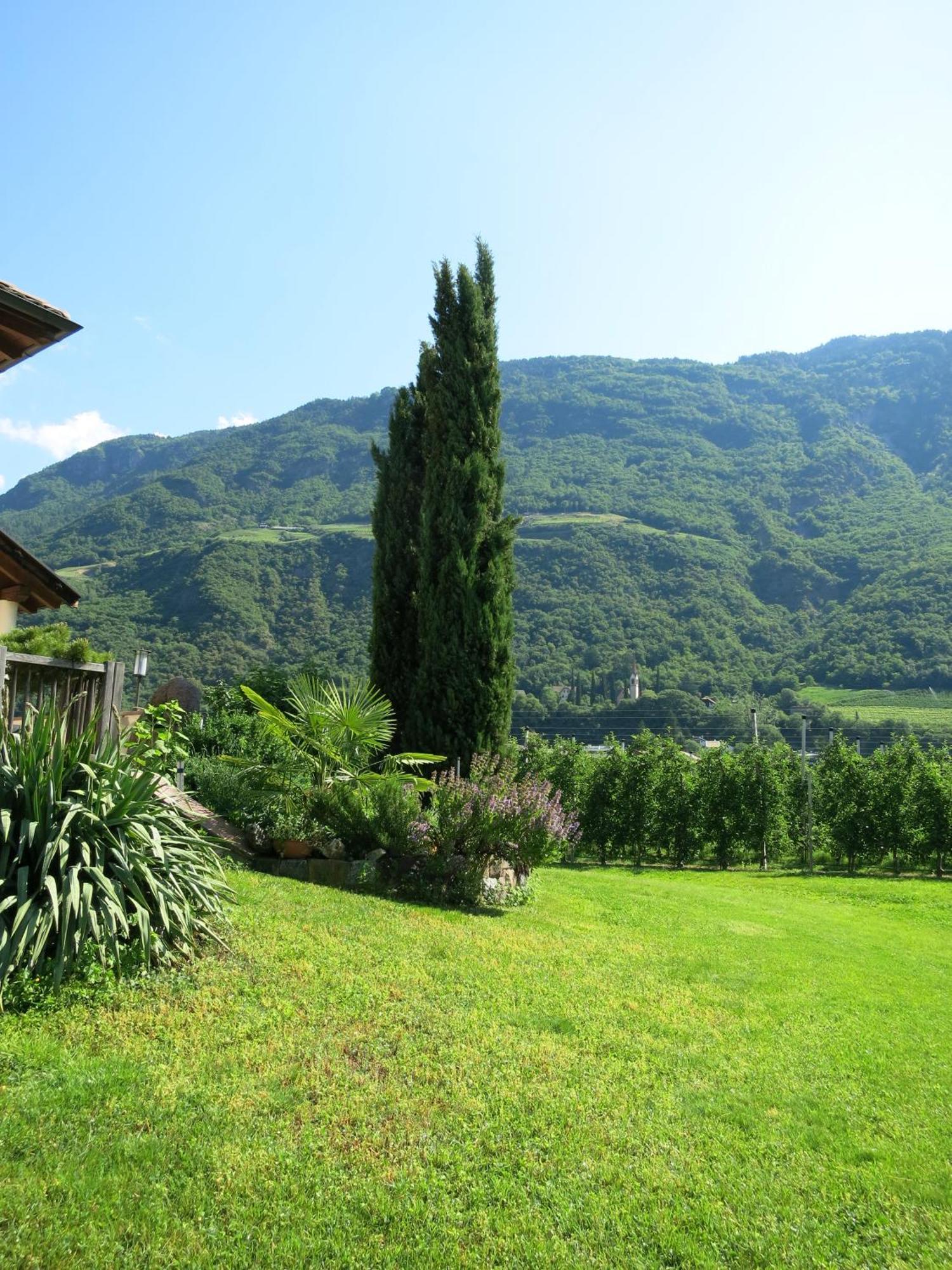 Appartamento Feldererhof Postal / Burgstall Esterno foto