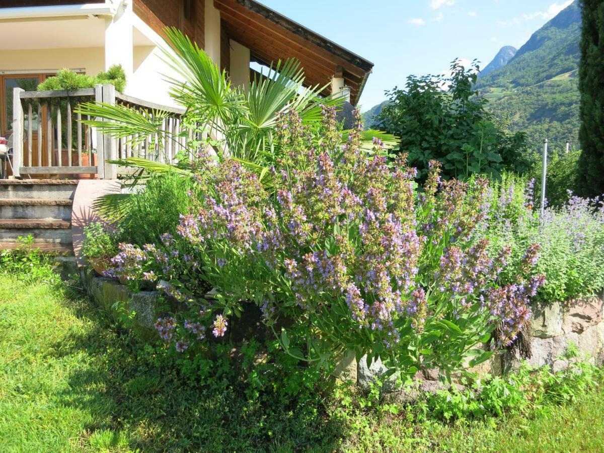 Appartamento Feldererhof Postal / Burgstall Esterno foto